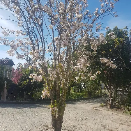 木屋 Cantinho Barrocas 佩纳尔瓦堡